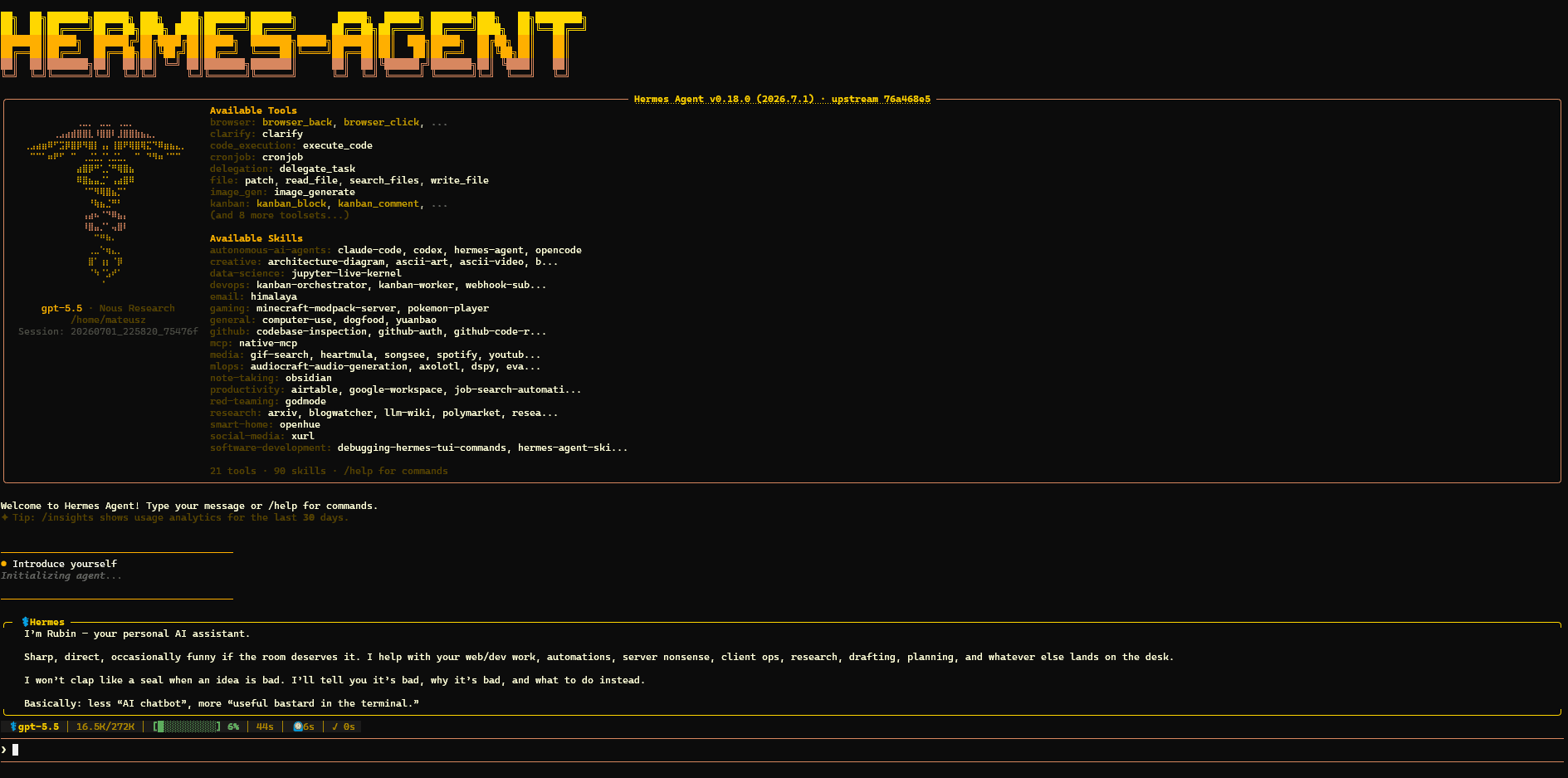 Rubin introducing himself in the Hermes agent CLI, running on GPT-5.5